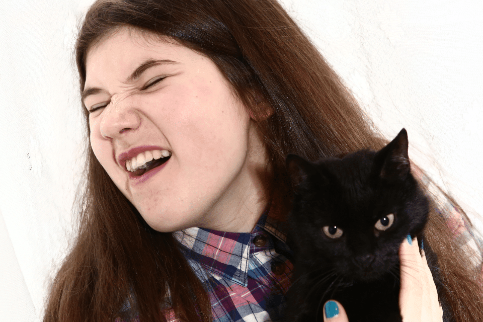 How to eliminate your cat allergy symptoms 3 cat allergy