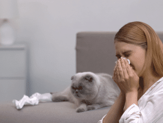 cat allergy