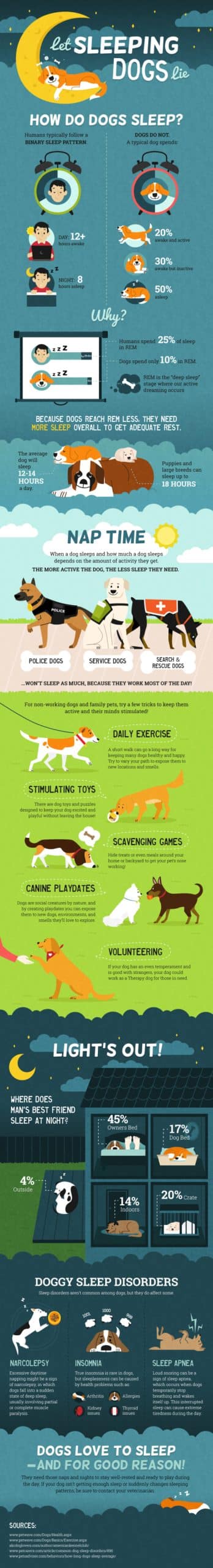 What do you know about your dog's sleep! 1 IG Dogs
