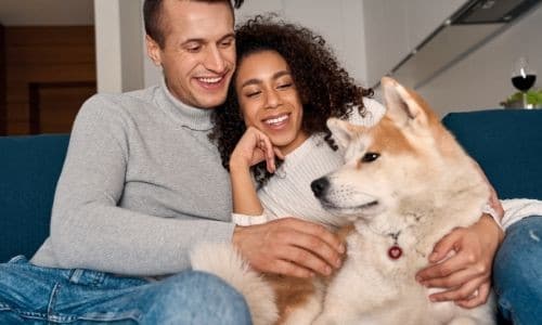 Furry Family: Top Ideas for Designing a Dog-Friendly Home 1 Furry Family: Top Ideas for Designing a Dog-Friendly Home