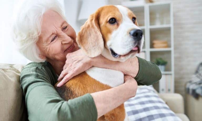3 Pets That Are Great for Older Adults Who Live Alone 1 3 Pets That Are Great for Older Adults Who Live Alone