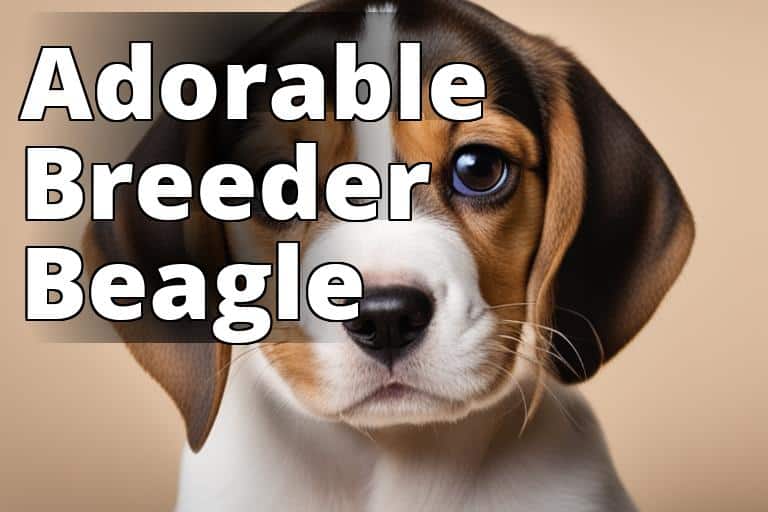 Breeder Beagles 101: How to Find, Select, and Care for Your Ideal Pet 1 Adorable-Beagle-Puppy.jpg