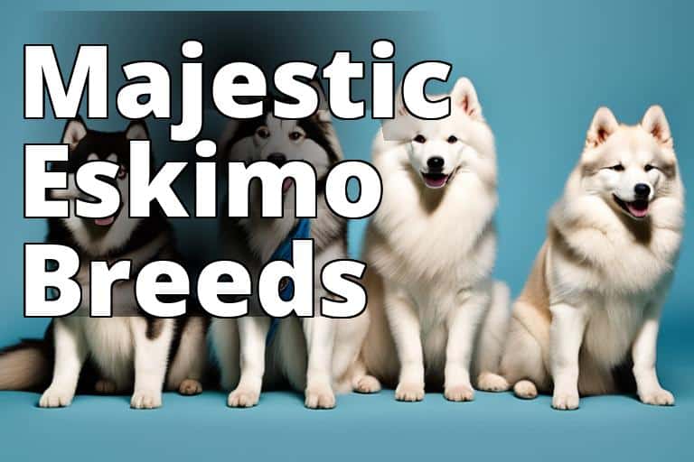 Discover Eskimo Dog Breeds: All You Need to Know 1 Majestic_Eskimo_Breed.jpg