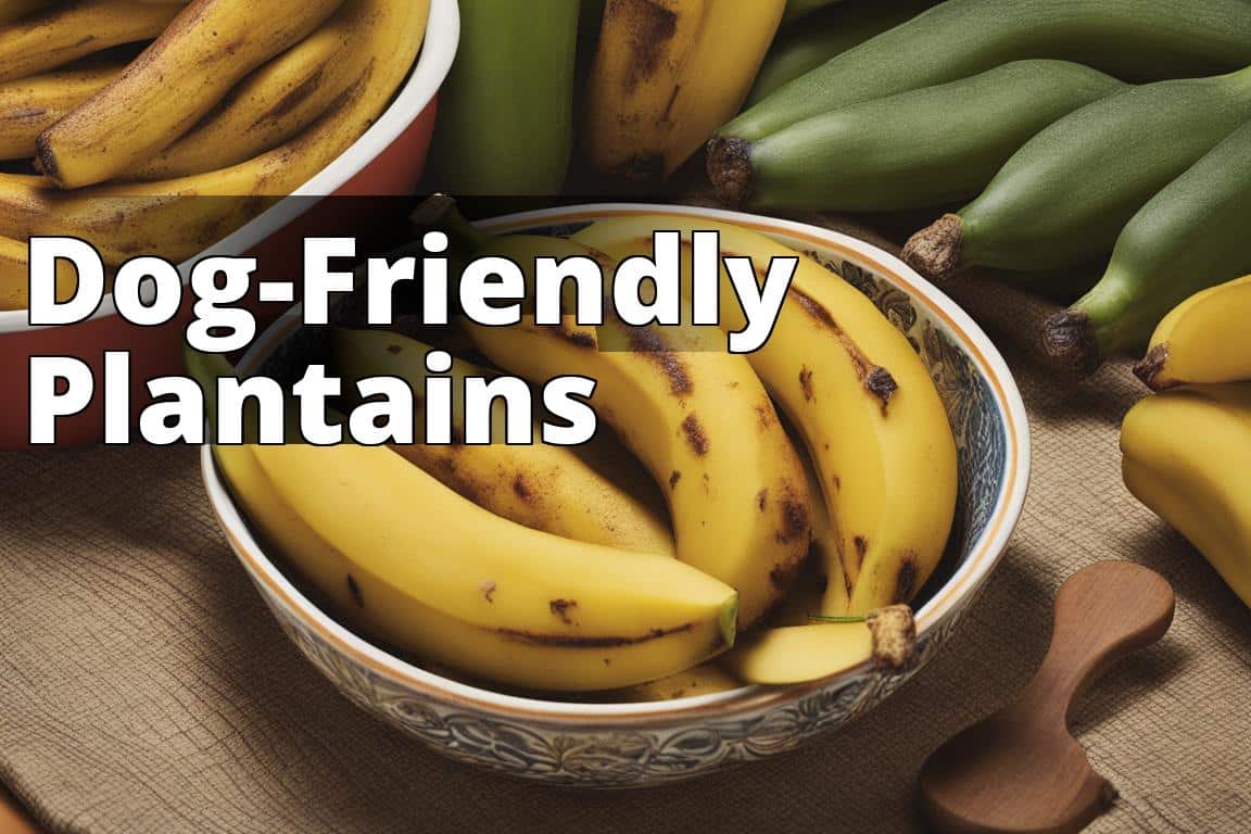 Can dogs eat plantains? 1 dog-friendly-plantains.jpg