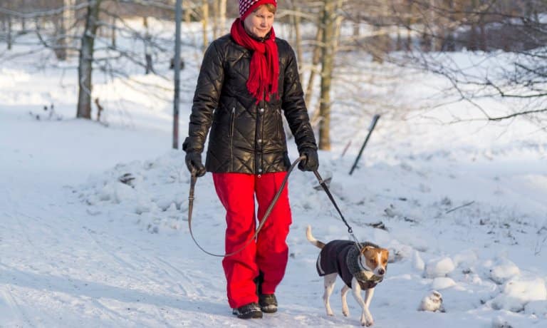 4 Ways To Keep Your Dog Active in Winter 1 A woman wearing a winter coat, gloves, and a scarf is walking her dog through the snow. The dog is wearing a coat.