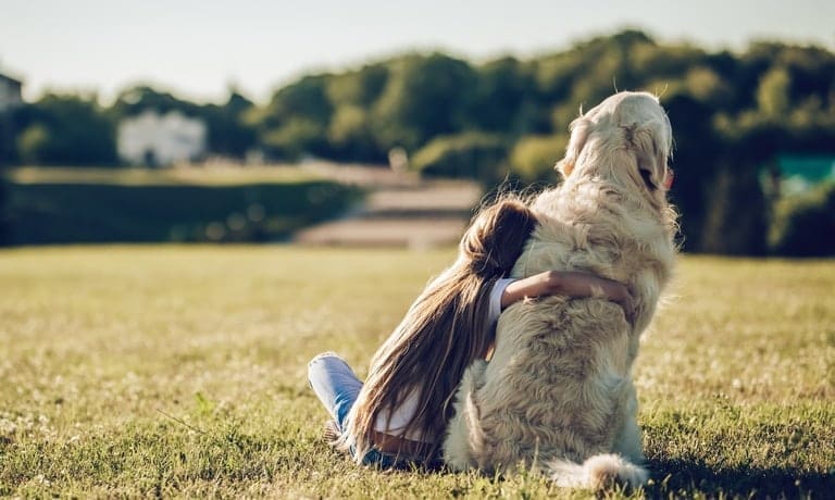 A child in a white shirt hugs a fluffy golden dog while sitting on the grass in an open field with trees in the background.