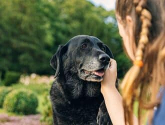 A young woman and dog sitting outside. She's holding her hand against the black dog's graying muzzle.