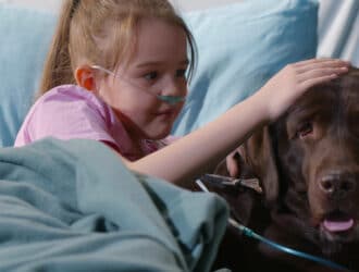 A large, relaxed brown dog laying in a hospital bed with a young girl. She is wearing a nasal cannula.