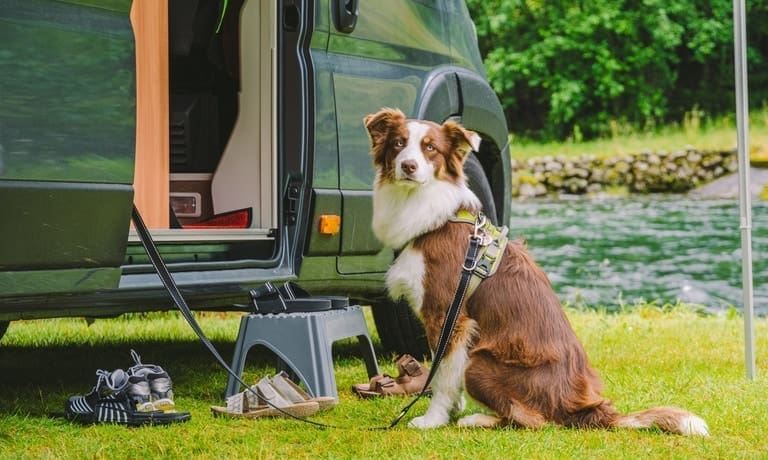 A dog sits on a leash attached to an RV camper near a river. There are several pairs of sandals on the grass.