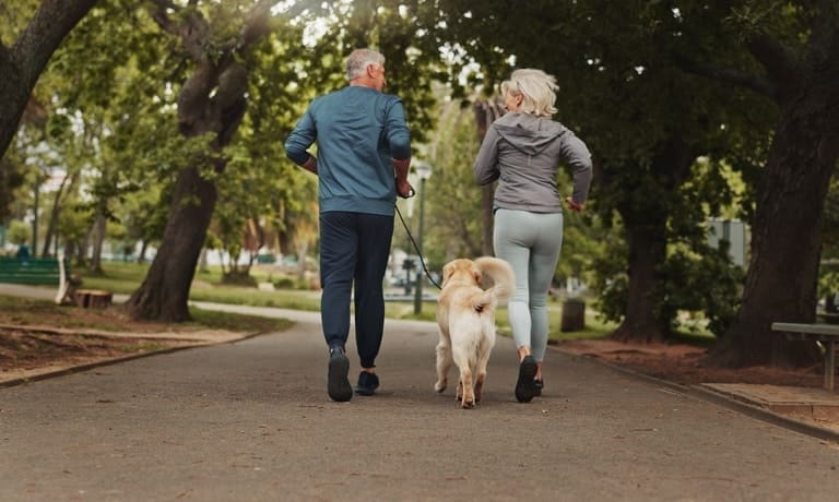 Is Your Dog Ready To Be Your New Running Buddy? 1 A mature couple jogging in a well-shaded park alongside their golden retriever, who is trotting between them.