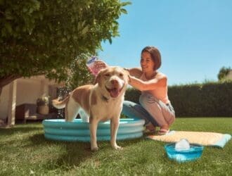 Keep your dog cool in summer heatwave