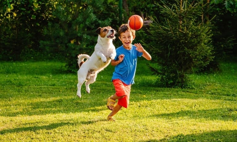A young boy runs in the backyard as his dog jumps into the air to catch a small orange basketball. The sun is shining.