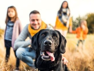 A dog up-close sitting with its tongue hanging out of its mouth. The dog's family is behind it in a blurred view.