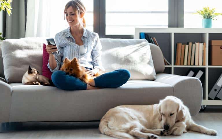 A young woman sits on a couch with a small, fluffy dog in her lap and a cat curled up next to her. A larger dog lies on the floor.