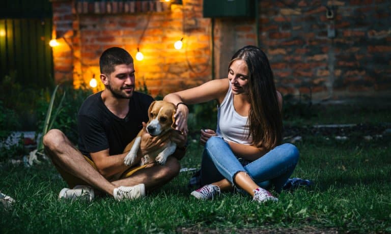 5 Useful Tips for Helping Your Pup Avoid Injuries 1 A couple plays with their dog in their backyard at night. String lights hang along the brick wall behind them.