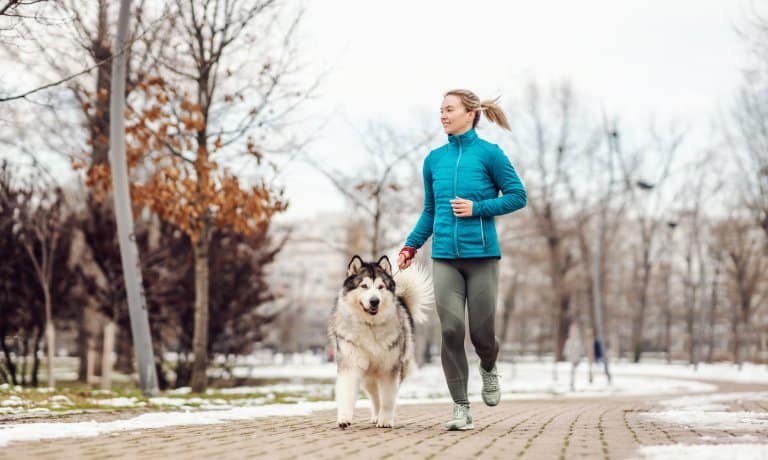A woman wearing a light blue coat and gray leggings is jogging beside a large, fluffy dog. Snow lightly covers the ground.