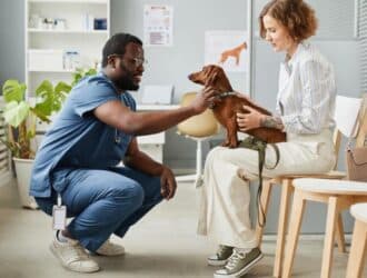 A woman holds her Dachshund on her lap as a smiling male veterinarian in blue scrubs crouches beside them and pets the dog.