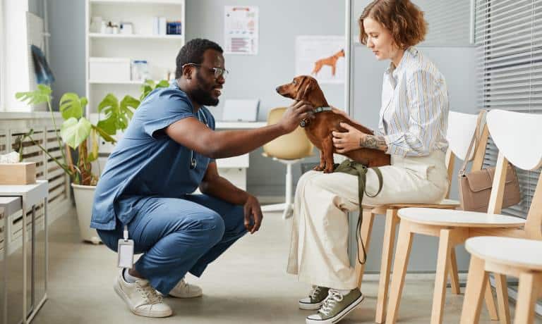 A woman holds her Dachshund on her lap as a smiling male veterinarian in blue scrubs crouches beside them and pets the dog.
