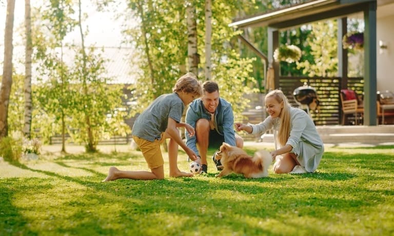 A family of three outside in their backyard with a small puppy. They play with the puppy and a small soccer ball.