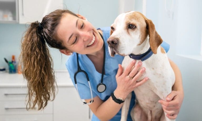 A veterinarian smiles as she looks at a dog that is sitting on a table. The two are in an examination room.