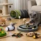 12 Best Toys for Bored Cats at Home