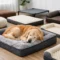 9 Best Dog Beds for Seniors