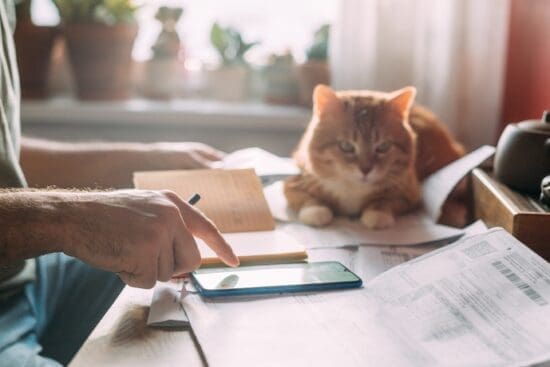 A man doing paperwork and using his phone while his cat loafs next to him on the table, its paws resting on documents.