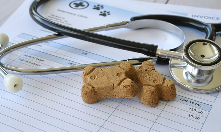 A stethoscope and dog treats on a veterinary invoice document, illustrating pet healthcare costs and routine exams.