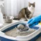 How to Clean a Litter Box the Right Way