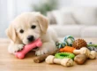 10 Best Puppy Chews for Teething