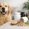 9 Best Dog Joint Supplements to Consider