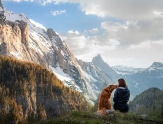 A person sitting next to their dog while resting in front of a scenic mountain view on an outdoor trail.