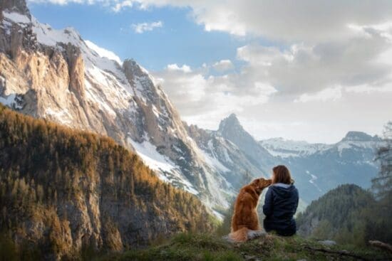 A person sitting next to their dog while resting in front of a scenic mountain view on an outdoor trail.