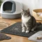 10 Best Cat Litter Mats for Cleaner Floors