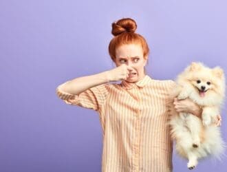 A girl pinching her nose while holding a small dog against a purple studio backdrop with both facing the camera.