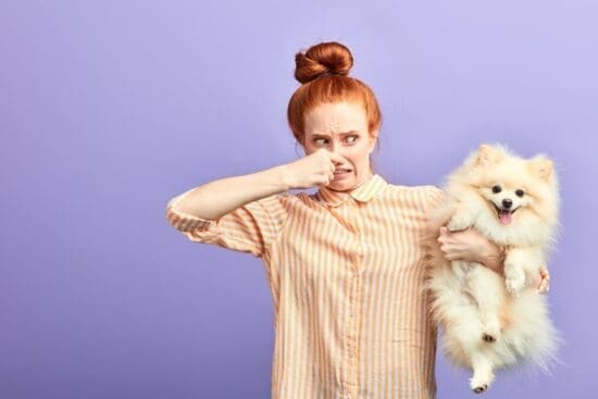A girl pinching her nose while holding a small dog against a purple studio backdrop with both facing the camera.