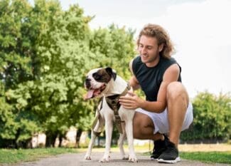 A man crouching on a park path beside a leashed dog wearing a harness, with green trees in the background.
