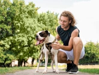 A man crouching on a park path beside a leashed dog wearing a harness, with green trees in the background.