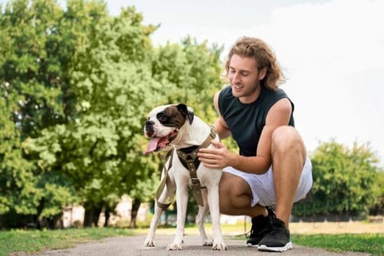 A man crouching on a park path beside a leashed dog wearing a harness, with green trees in the background.