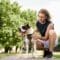 A man crouching on a park path beside a leashed dog wearing a harness, with green trees in the background.