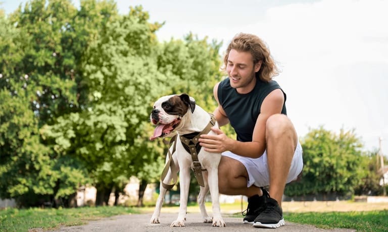 Low-Stress Ways To Stay Active With Your Dog 1 A man crouching on a park path beside a leashed dog wearing a harness, with green trees in the background.