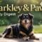 barkleyandpaws daily digest