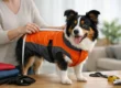 Dog Coat Size Guide for a Comfortable, Safe Fit