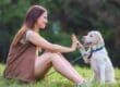A dog owner sitting on the grass with a puppy and encouraging it to lift its paw and hold it against their hand.