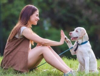 A dog owner sitting on the grass with a puppy and encouraging it to lift its paw and hold it against their hand.