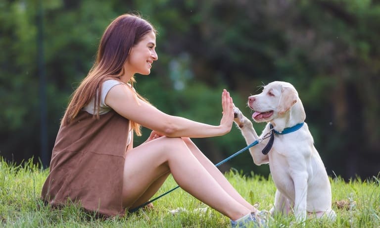 Tips for Maintaining Your Dog’s Training Routine in the Heat 1 A dog owner sitting on the grass with a puppy and encouraging it to lift its paw and hold it against their hand.
