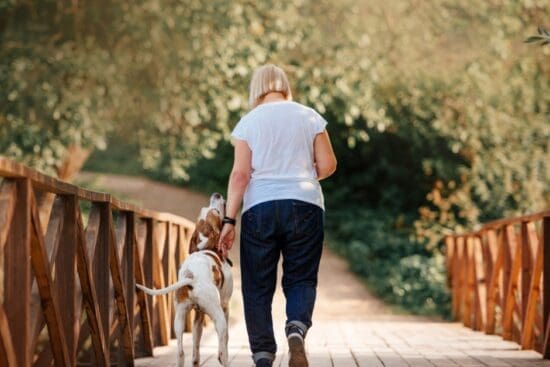 An older woman walks a medium dog across a wooden bridge surrounded by trees and greenery on a sunny day.