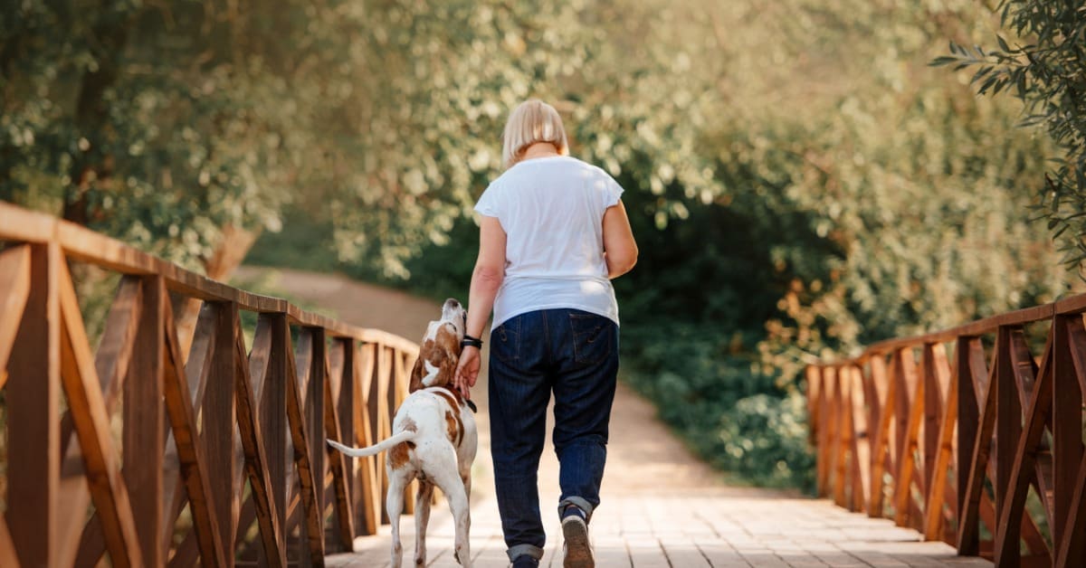 Keeping Senior Dogs Active and Comfortable 1 An older woman walks a medium dog across a wooden bridge surrounded by trees and greenery on a sunny day.