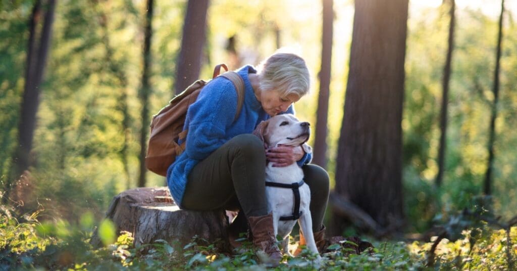 Keeping Senior Dogs Active and Comfortable 2 An older woman with a backpack sits in a forest clearing on a stump, kissing her dog's head with sunlight behind her.